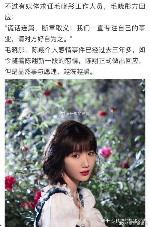 娱乐圈可以吃大瓜吗,揭秘明星幕后故事